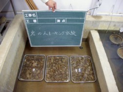 骨材試験 岩のスレーキング試験